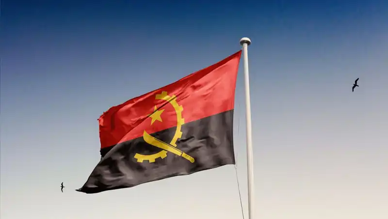 Siyasiler Angola'ya Giremedi, 20 Kişi Gözaltına Alındı