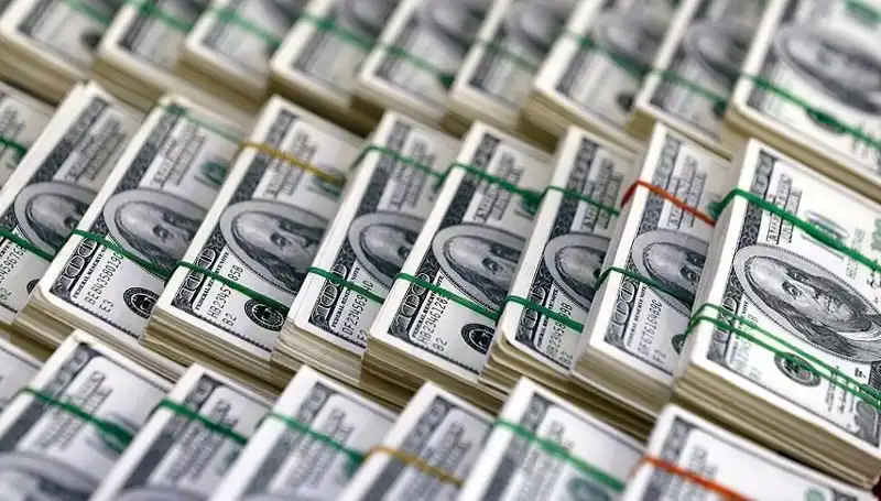 Doların Hızla Yükselişi: Ekonomik Sonuçları ve Görüşler